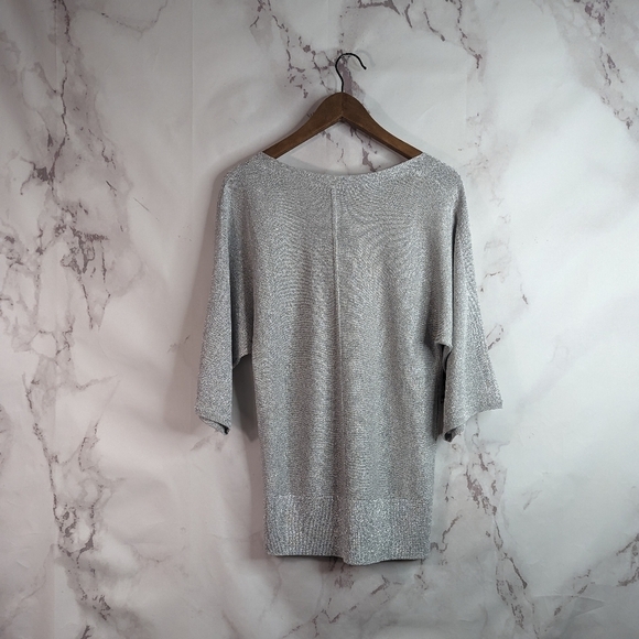 Talbots Short Sleeve Sweater Size Small Silver Sparkle Shimmer Metallic Knit Top - Picture 5 of 11